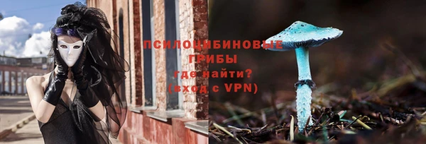 гидра Алзамай