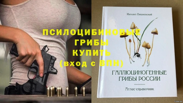 mix Аркадак