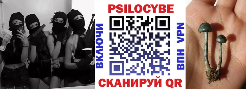 сколько стоит  блэк спрут tor  Псилоцибиновые грибы GOLDEN TEACHER  Курган 