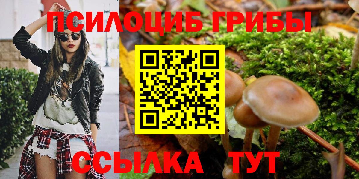 Курган  Псилоцибиновые грибы Magic Shrooms  Вход с VPN 