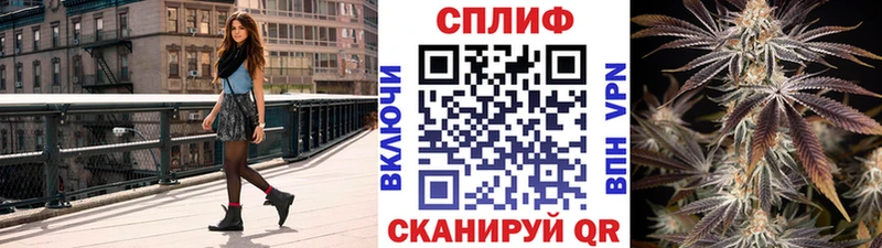 МАРИХУАНА Amnesia даркнет формула Курган мега ССЫЛКА