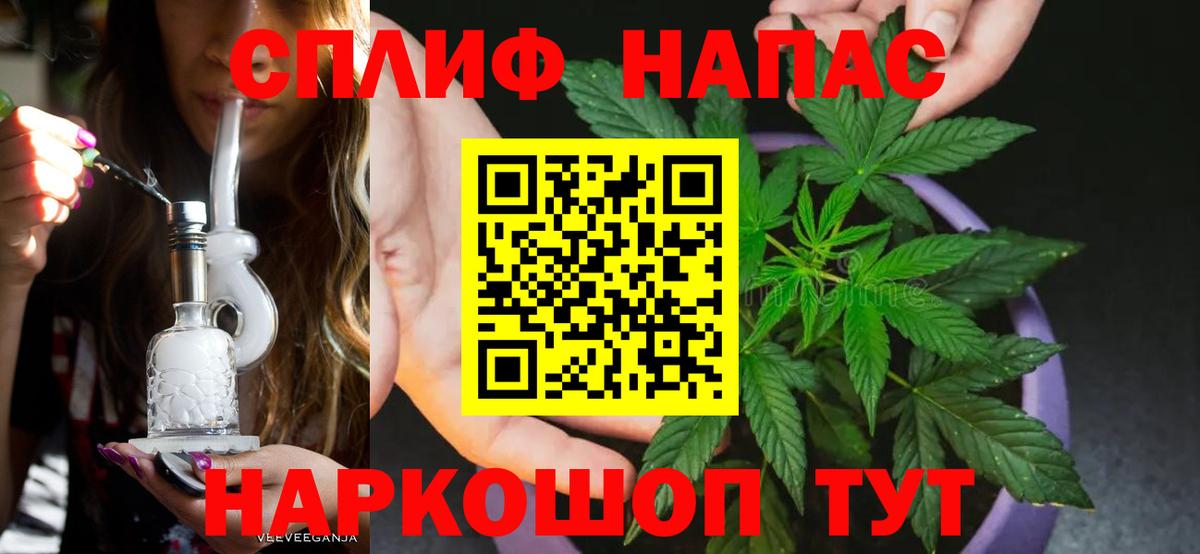 Курган  МАРИХУАНА ГИДРОПОН  Бошки марихуана Amnesia  Бошки марихуана план  Вход с VPN 